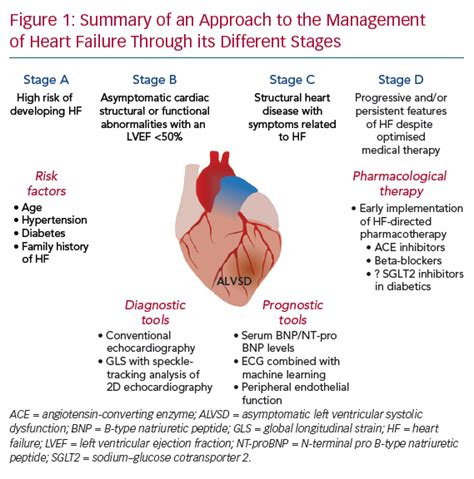 severely impaired lv systolic function